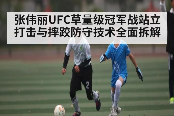 张伟丽UFC草量级冠军战站立打击与摔跤防守技术全面拆解